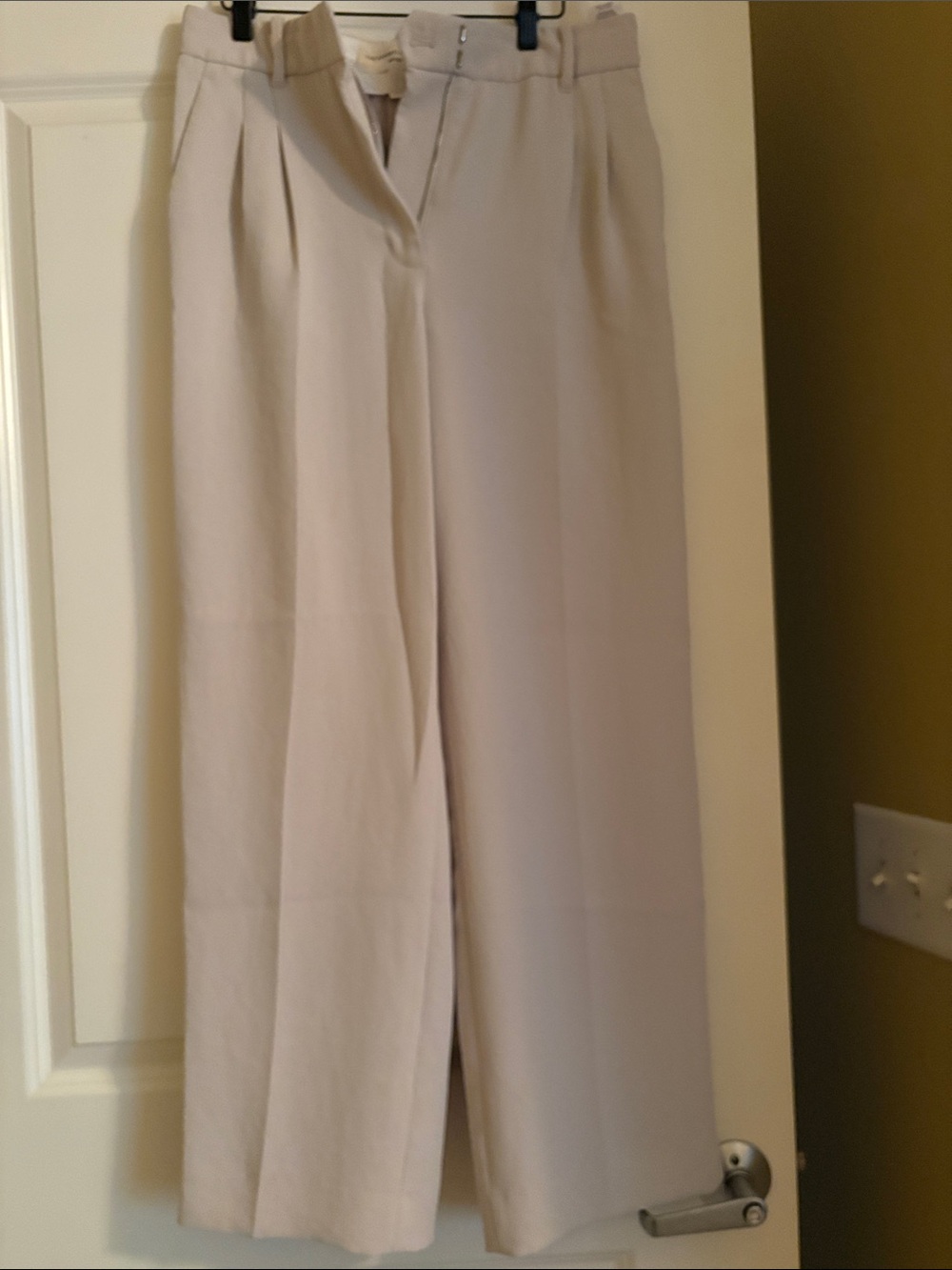Aritzia Wide-Leg High-Waist Pants in Bone